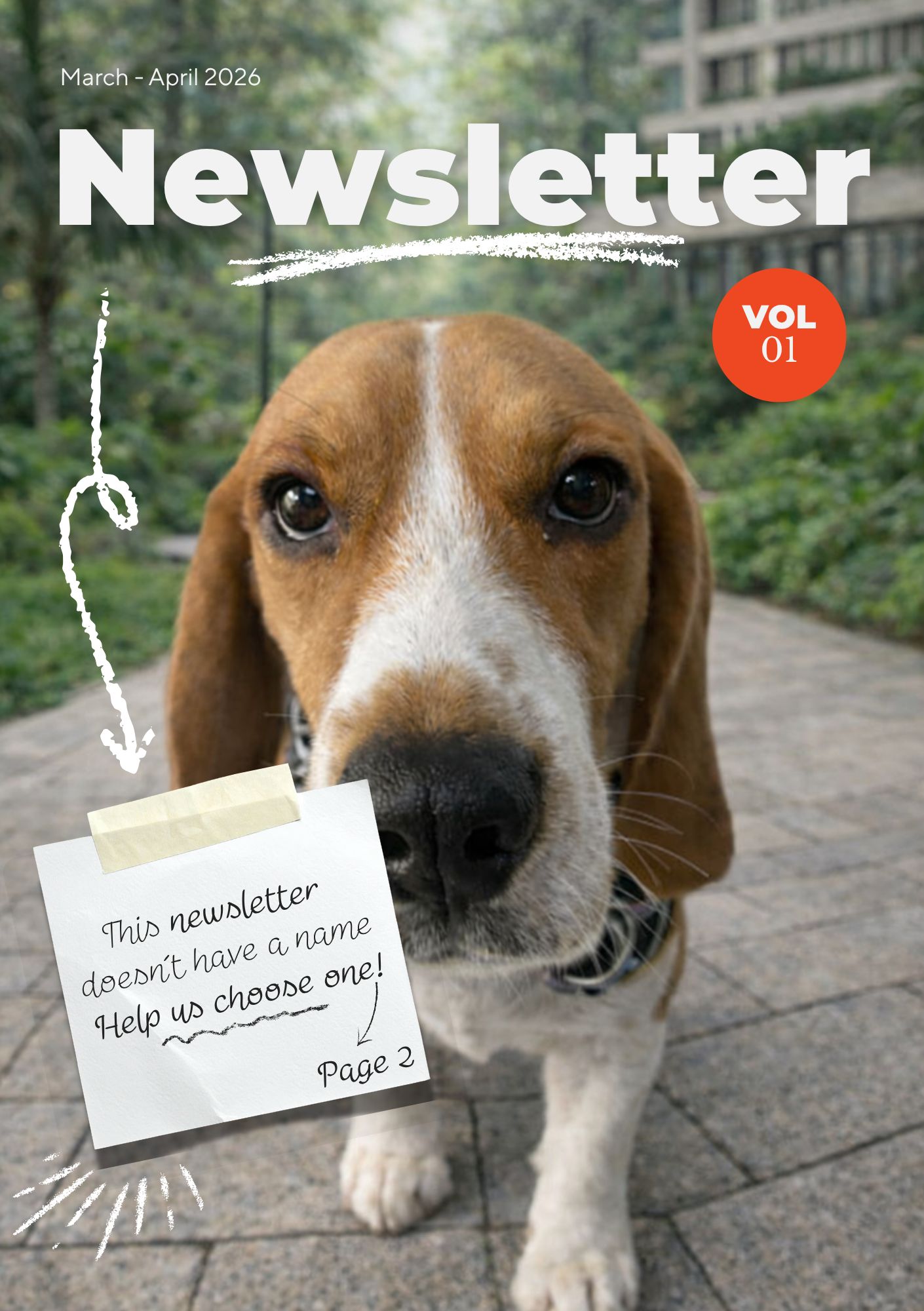Newsletter1